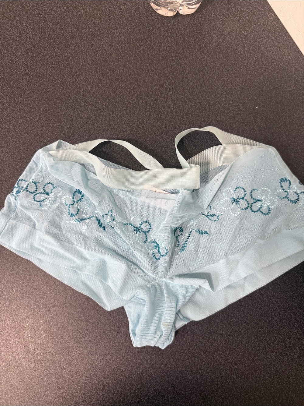 Light Blue Embroidered Lace Boyshorts Women's Intimates 2007
